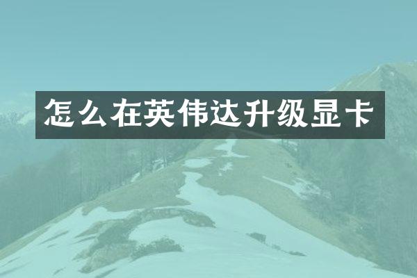 怎么在英伟达升级显卡