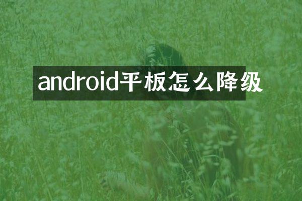 android平板怎么降级