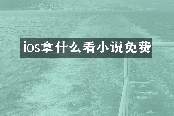 ios拿什么看小说免费