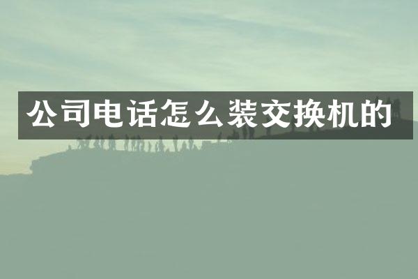 公司电话怎么装交换机的