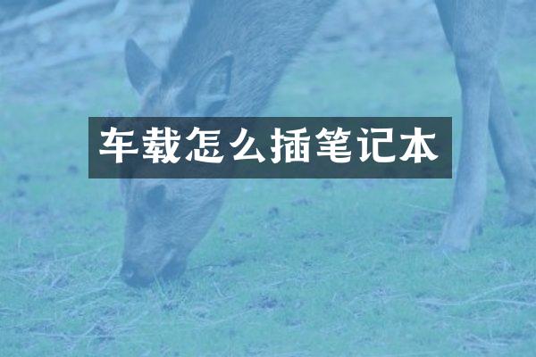 车载怎么插笔记本