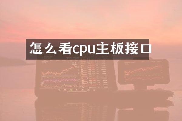 怎么看cpu主板接口