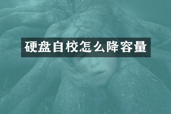 硬盘自校怎么降容量