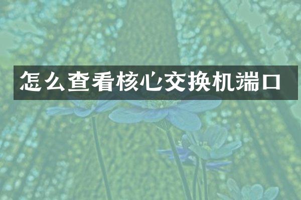 怎么查看核心交换机端口