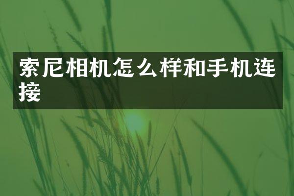 相机怎么样和手机连接