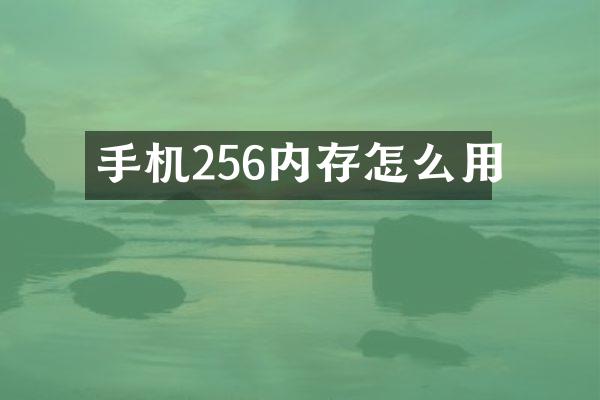手机256内存怎么用