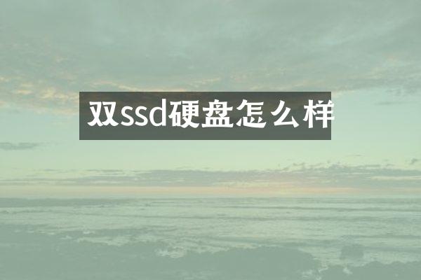 双ssd硬盘怎么样