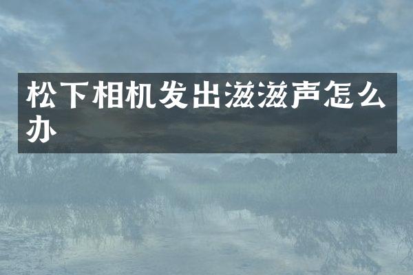 相机发出滋滋声怎么办