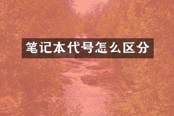 笔记本代号怎么区分