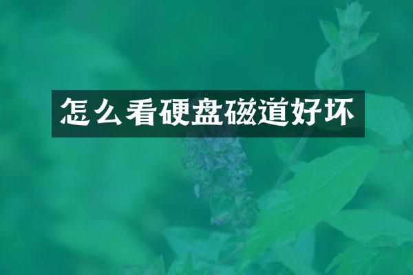 怎么看硬盘磁道好坏