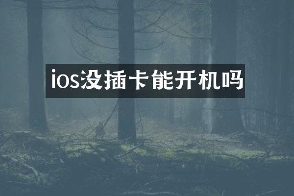 ios没插卡能开机吗