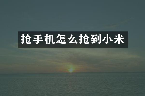 抢手机怎么抢到小米