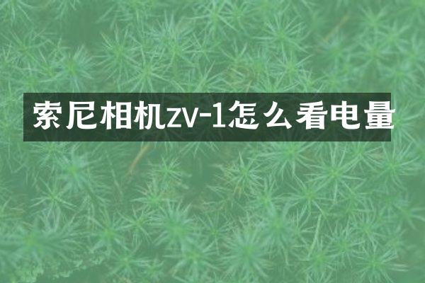 相机zv-1怎么看电量