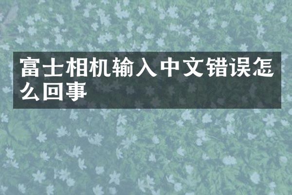 富士相机输入中文错误怎么回事