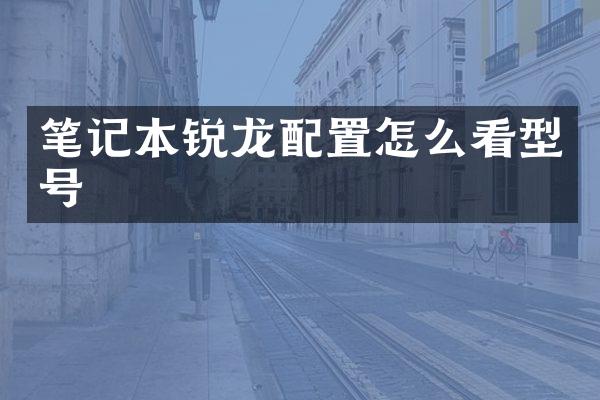 笔记本锐龙配置怎么看型号