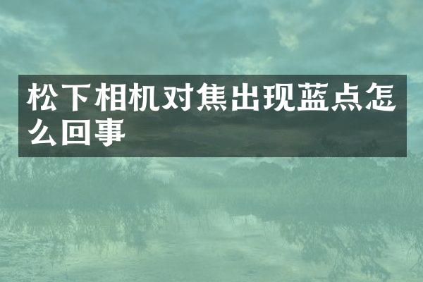 相机对焦出现蓝点怎么回事