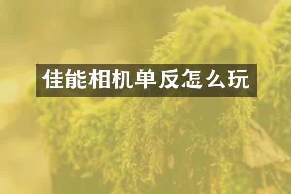 佳能相机单反怎么玩
