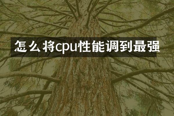 怎么将cpu性能调到最强