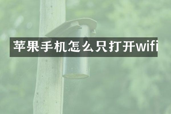 苹果手机怎么只打开wifi