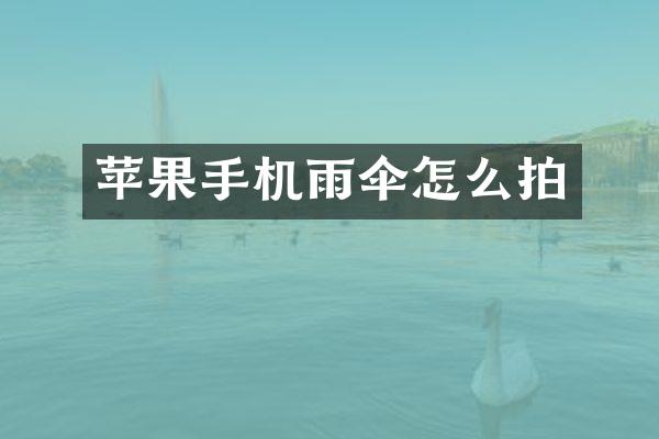 苹果手机雨伞怎么拍