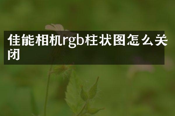 佳能相机rgb柱状图怎么关闭