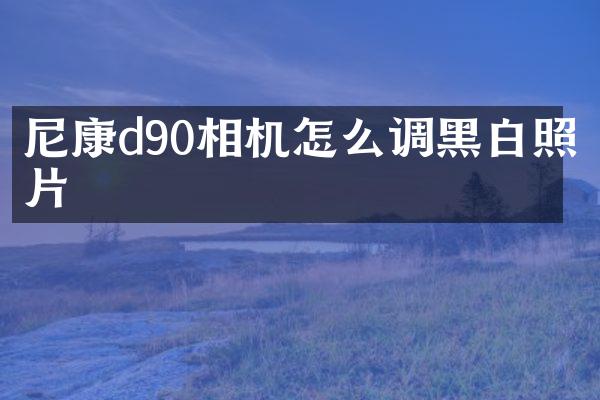 尼康d90相机怎么调黑白照片