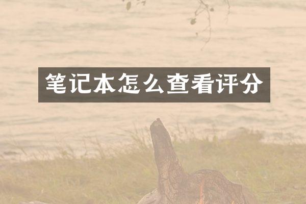 笔记本怎么查看评分