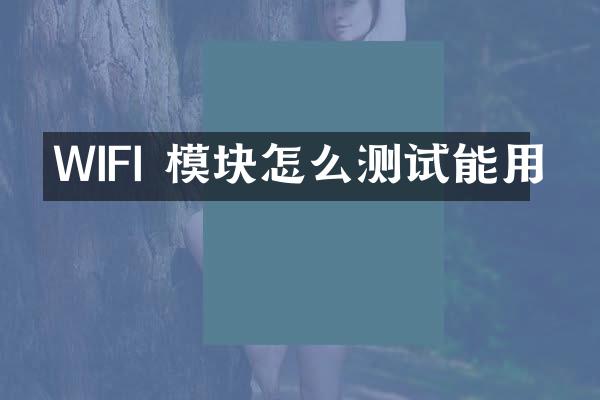 WIFI 模块怎么测试能用