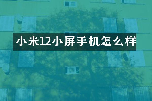 小米12小屏手机怎么样