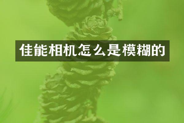 佳能相机怎么是模糊的