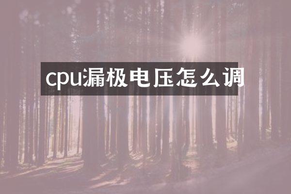 cpu漏极电压怎么调