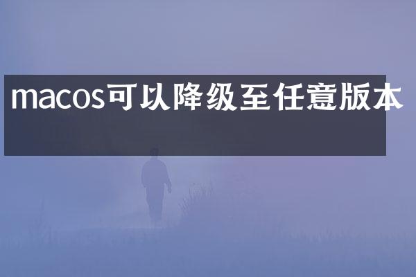macos可以降级至任意版本吗