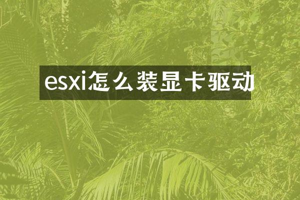 esxi怎么装显卡驱动
