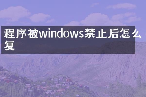 程序被windows禁止后怎么恢复