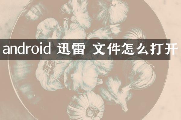 android 迅雷 文件怎么打开