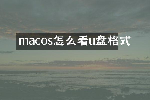 macos怎么看u盘格式