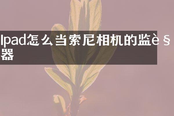 Ipad怎么当相机的监视器