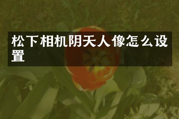 相机阴天人像怎么设置