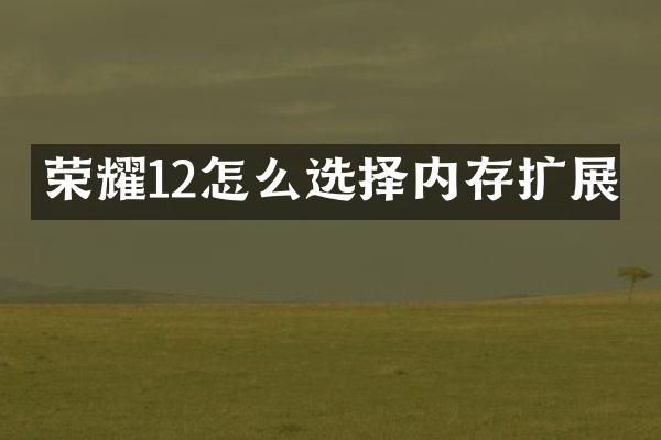 荣耀12怎么选择内存扩展