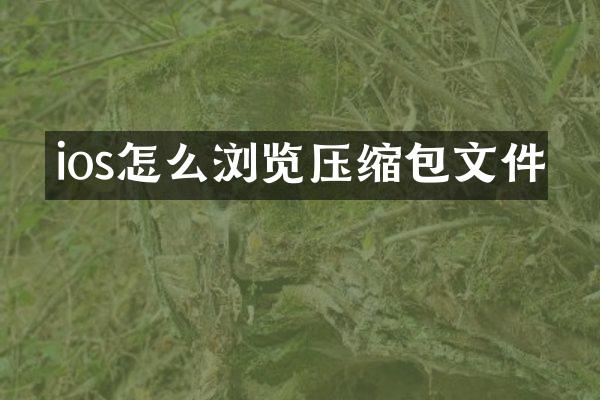 ios怎么浏览压缩包文件