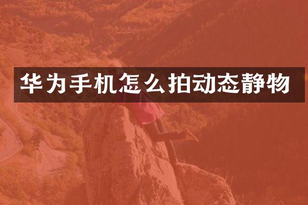 华为手机怎么拍动态静物