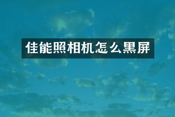 佳能照相机怎么黑屏