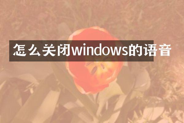 怎么关闭windows的语音