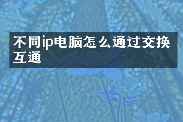 不同ip电脑怎么通过交换机互通