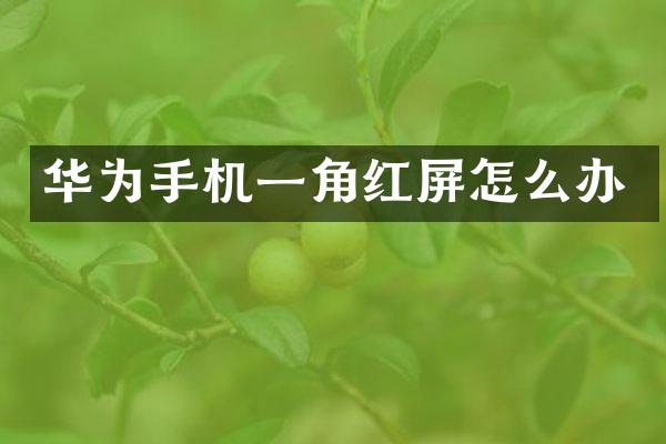 华为手机一角红屏怎么办