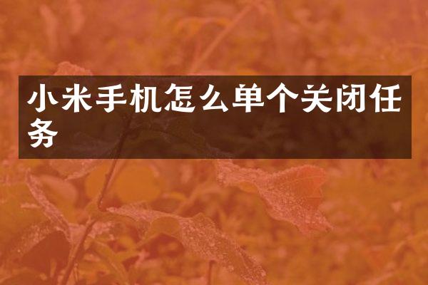 小米手机怎么单个关闭任务