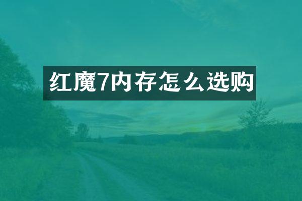 红魔7内存怎么选购