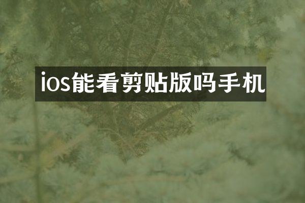 ios能看剪贴版吗手机