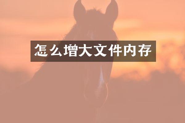 怎么增大文件内存