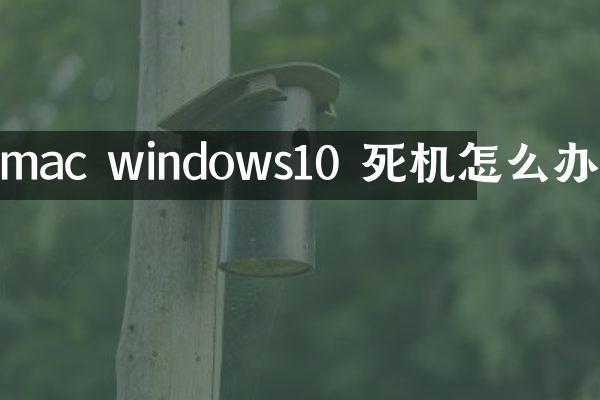 mac windows10 死机怎么办